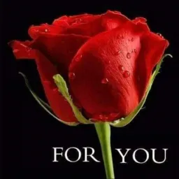 GROUP OF ❤❤ TUJUANE KWA PICHA SAA 12:00 - 3:00 ❤❤
