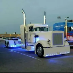 🇿🇦SA🇿🇼ZIM🛣TRUCK DRIVER'S 🔞🔞🔞
