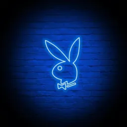 🐰🔞Playboy🔞🐰