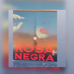 💃boate Rosa negra 💃