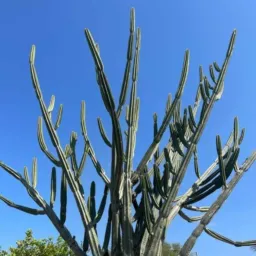 Sertão da Bahia / Putaria .🌵Sejam todos bem vindos, fiquem a vontade !