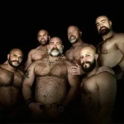 ✅Ursos 🐻 BDSM