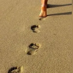 Triagem | ✨ Feet Dreams👣