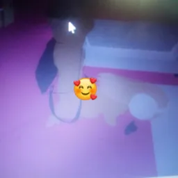 SAFADA MANDA FOTINHA DA BUCETINHA