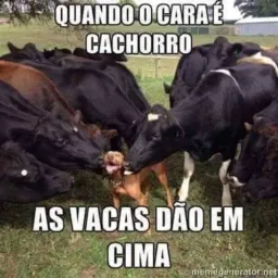 Grupo dos cornos🔞