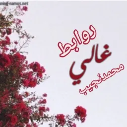روابط الغالي 👩‍❤️‍💋‍👩محمدنجيب