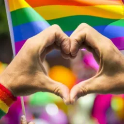 Gays Goiás 62 e 64