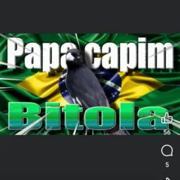 Só bitola 🤫🤫🤫