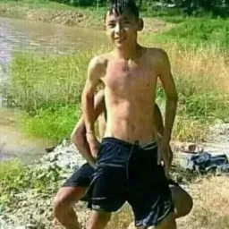 Novinho