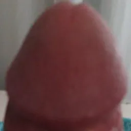 Banheiro Masculino e Cines Privês