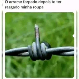 Beira sexy education