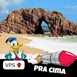 Paparote clássico das gatas