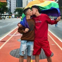 Gays De Salvador (só dd de 71 à 75)