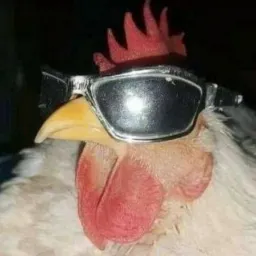 Bonde das Popozudas