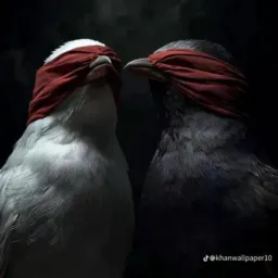 💫Ishq ki duniya 😍💗🖕