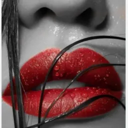 𝕽𝖔𝖙𝖊 𝕷𝖎𝖕𝖕𝖊𝖓 💋𝖘𝖔𝖑𝖑 𝖒𝖆𝖓 𝖐ü𝖘𝖘𝖊𝖓  & 𝖂𝖊𝖗𝖇𝖊𝖑𝖔𝖇𝖞 𝖆𝖇 18