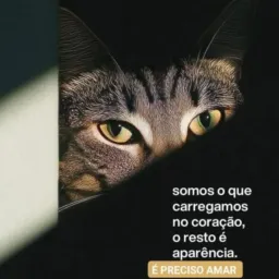 Hospício da Sacanagem 🤪Região Serrana 😈