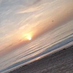 Solo parejas reales y chicas ....