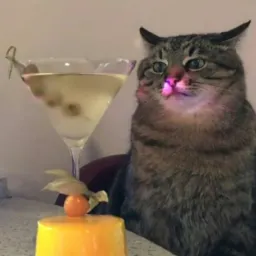 °•꧁,👑_C̶A̶L̶D̶O̶ ̶D̶E̶ ̶X̶A̶N̶4̶_👑꧂•°