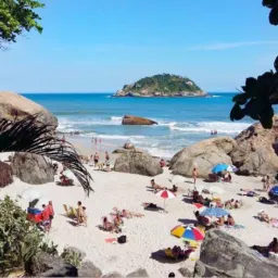Abricó pegação 🔞