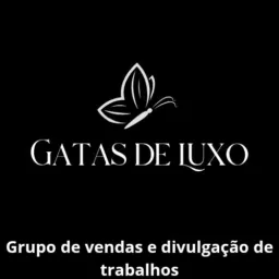 Gatas de luxo 😻