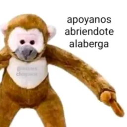 vubul de pajas.