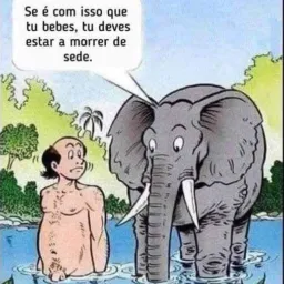 HXH casados, solteiros e curiosos.