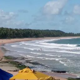 Vídeos e fotos Amadores 🎥📸📽️📻