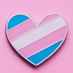 Trans Vídeos 🏳‍⚧❤️🎥