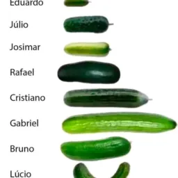 CONFERE? 🍆🤔