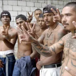 Chacales y Tatuados vergudos