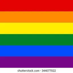 Lesbica gay travesti bisexual heteros 🌶️