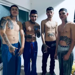 🍆Chacales 🍑 Colageno 💦Gay/Bi 🏳️‍🌈🏳‍⚧