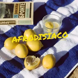 ‎ ‎ ‎ ‎ ‎ ‎ ‎ ‎ ‎ ‎‎ ‎ ‎ ‎ ‎ ‎ ‎ ‎ ‎ ‎𝐓𝐈𝐂𝐊𝐄𝐓𝐒ㅤ         𝑖͟𝑛͟.ㅤ         ﹝  ㅤㅤ   .  ꯭ ✱꯭  𝖠𝖥𝖱𝖮𝖣𝖨𝖲𝖨́𝖠𝖢𝖮ㅤ