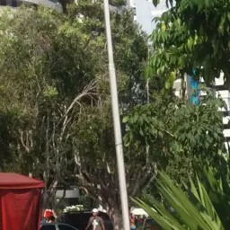 Banho de manaus