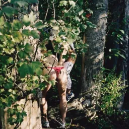 #𝐎𝐫𝐠𝐲𝐏𝐚𝐫𝐭𝐲 𝐲 #𝐂𝐫𝐮𝐢𝐬𝐢𝐧𝐠 𝐞𝐧 𝐂𝐃𝐌𝐗 🥵🌳🌲😈