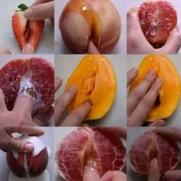 Tribo da Foda!🍆🤤