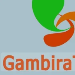 💙GAMBIRAS DE GOIÂNIA