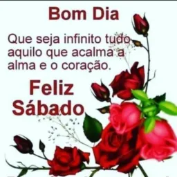 Como ser um aputarado/a  🍸🍺🍷🍻🍹