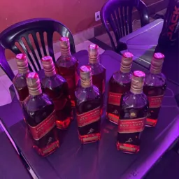 Privadinha hoje