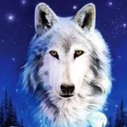 Alcateia da loba 🐺😏