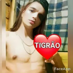 Grupo do Tigrão putão
