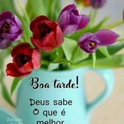 só Contos eróticos 👍🤝