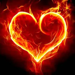 AMOR E SEXO 1