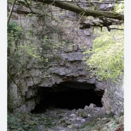 A CAVERNA DOS SEXO🐸