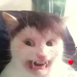 👅