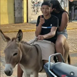 🚘Cabaré do Corolla🔞