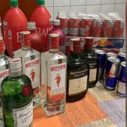 Revoada dos ++