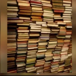 EROTIC NOVEL AND CHAPTERS ONLY