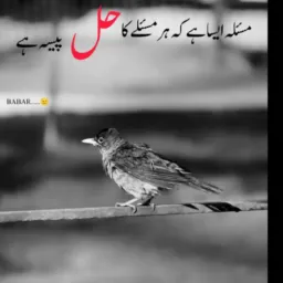Only tik Tok video ♥️💜🖕🏿